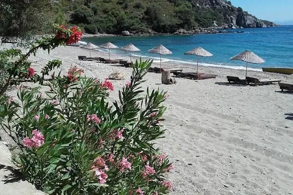 Bodrum Holiday Resort &amp; Spa - Resim 15