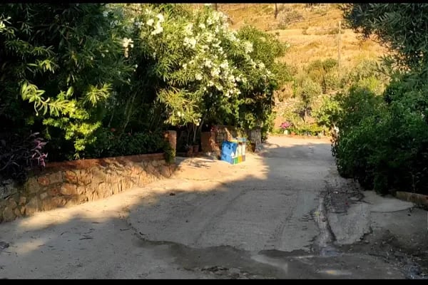 Bodrum Holiday Resort &amp; Spa - Resim 12