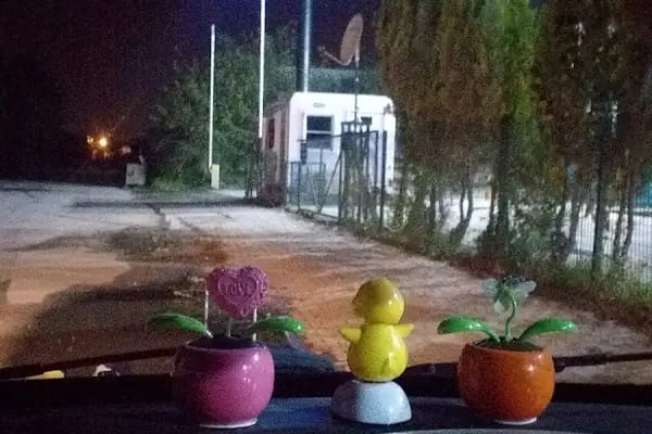 Sakarya Posta/Kargo İşleme Merkezi - Resim 7