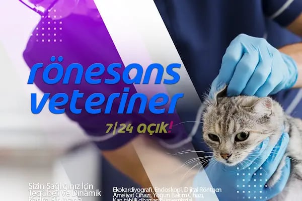 Rönesans Veteriner - Resim 4