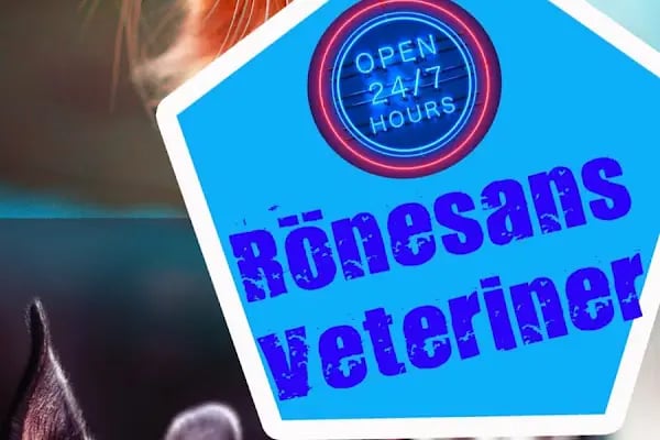 Rönesans Veteriner - Resim 19