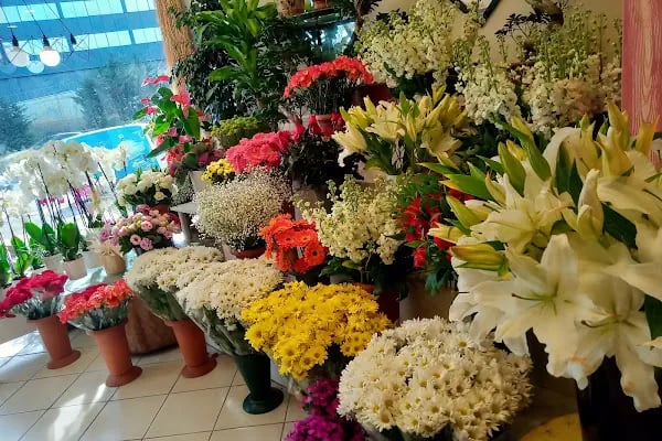 Ataşehir Flowers &amp; Event - Resim 16