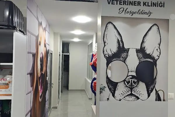 Venüs Veteriner Kliniği Adana - Resim 13