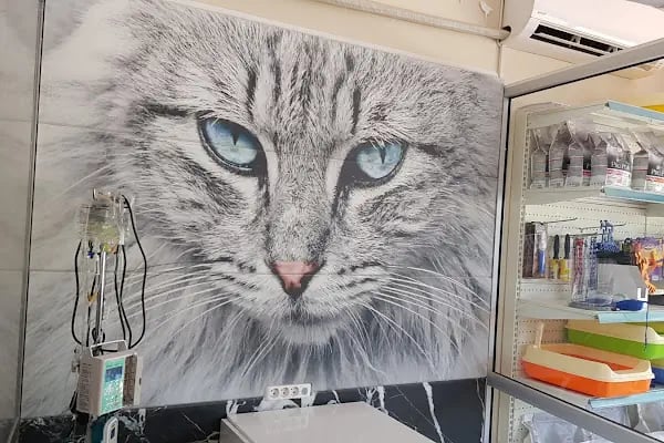 Venüs Veteriner Kliniği Adana - Resim 7