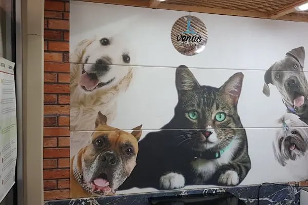Venüs Veteriner Kliniği Adana - Resim 3