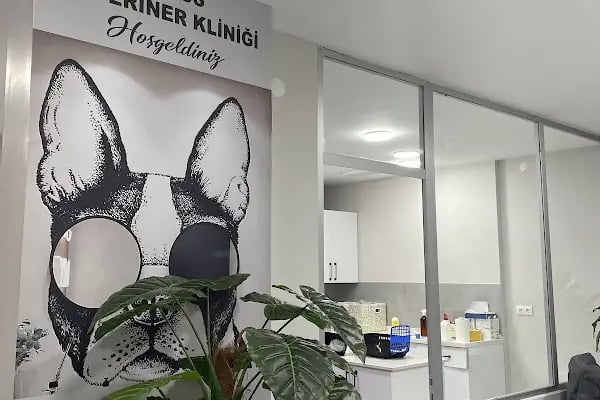 Venüs Veteriner Kliniği Adana - Resim 20