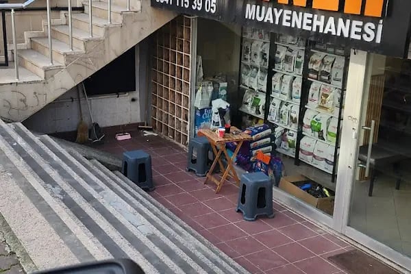 İncirli Veteriner Kliniği - Resim 6