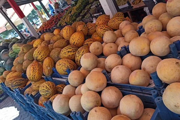 umutsoy market 2240351 - Resim 10