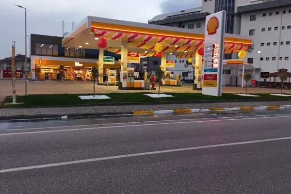 KARESİ SHELL - Resim 19