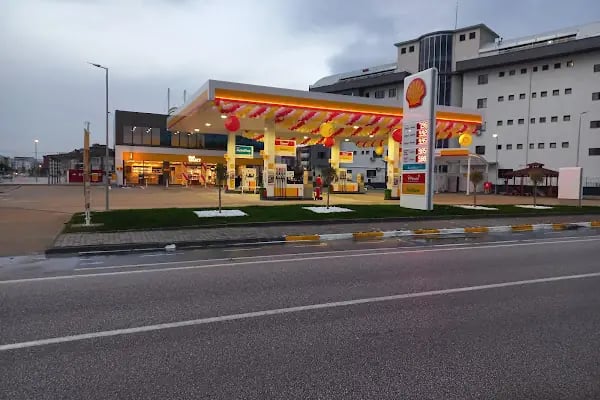 KARESİ SHELL - Resim 2
