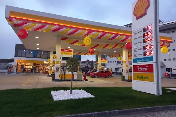 KARESİ SHELL - Resim 4