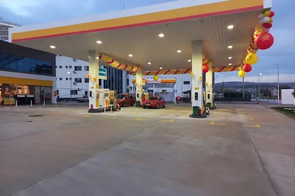 KARESİ SHELL - Resim 12