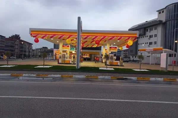 KARESİ SHELL - Resim 11