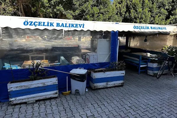 Özçelik Balıkçılık Balık Evi - Resim 19