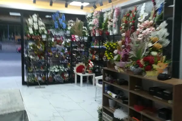 Zümrüt Çiçek Evi - Resim 3