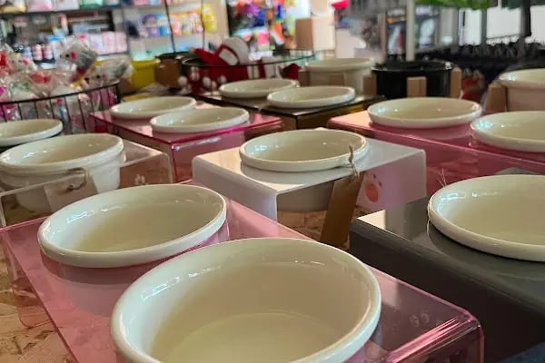 Pike Pet Market Plajyolu - Resim 5
