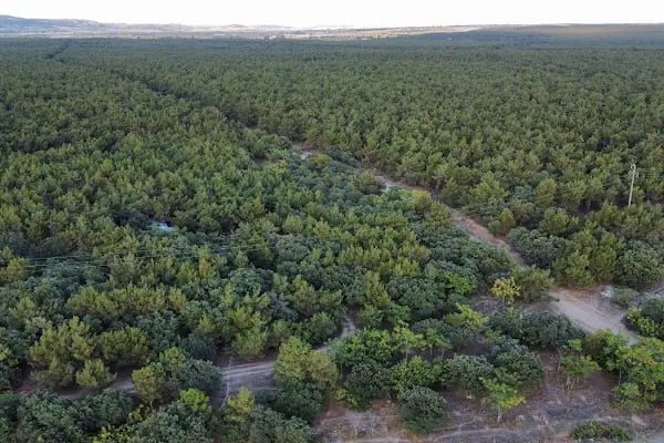 ENEZ BELEDİYE KAMP ALANI - Resim 19