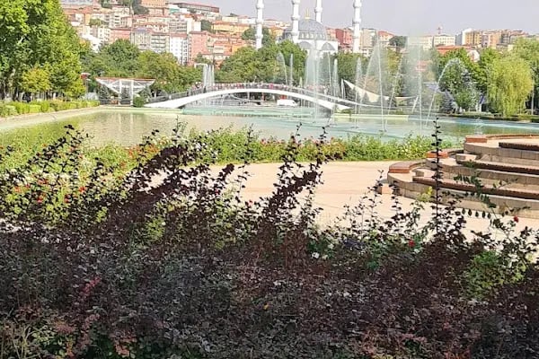 Ulus İlk Meclis Anadolu İmam Hatip Okulu - Resim 17