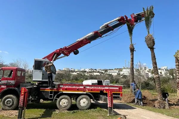 Bodrum Vinç Kiralama - Resim 7