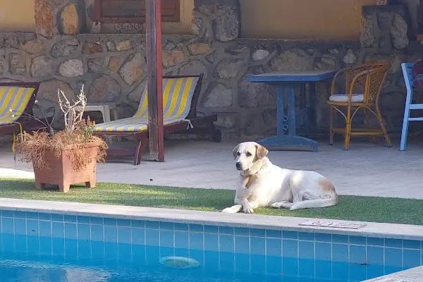 Otel Sevgi - Resim 14