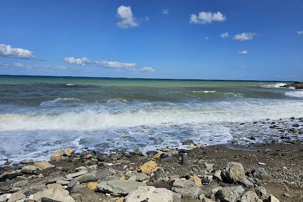 Ağaçlı plajı - Resim 6