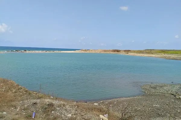 Ağaçlı plajı - Resim 16