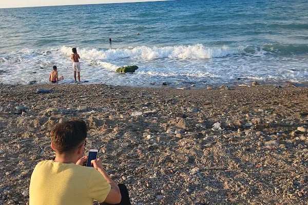 Ağaçlı plajı - Resim 5