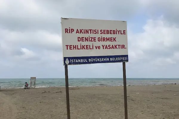 Ağaçlı plajı - Resim 17