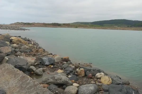 Ağaçlı plajı - Resim 13