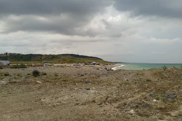 Ağaçlı plajı - Resim 7