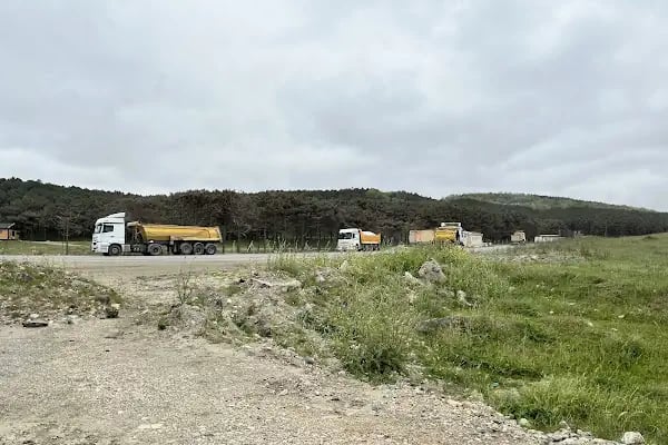 Ağaçlı plajı - Resim 9