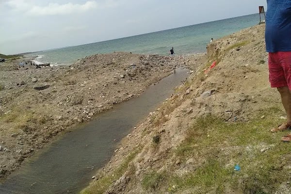 Ağaçlı plajı - Resim 20
