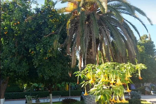 Çetinel Otel - Resim 10