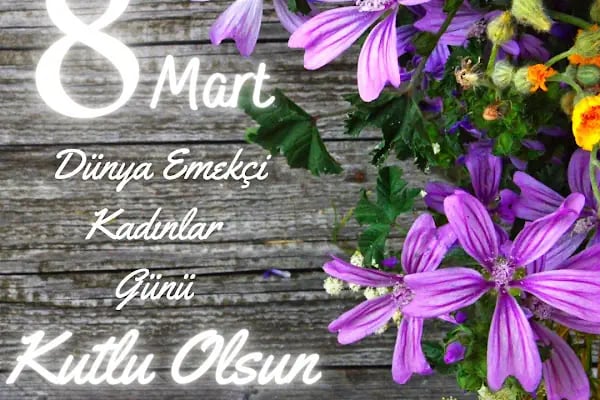 Turyap Bornova Temsilciliği - Resim 12