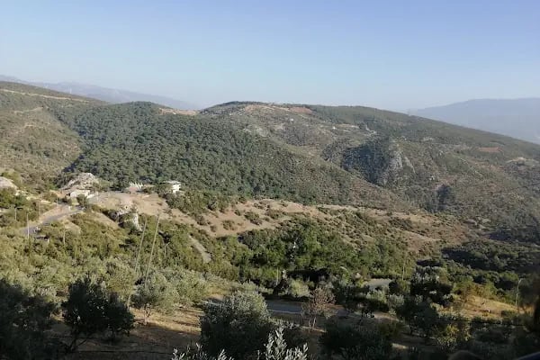 At Çiftliği - Resim 3
