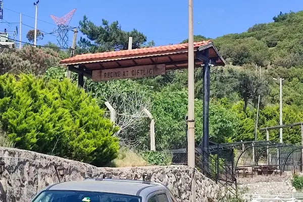 At Çiftliği - Resim 11