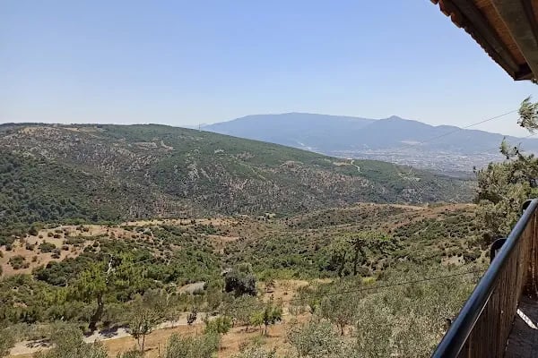 At Çiftliği - Resim 8