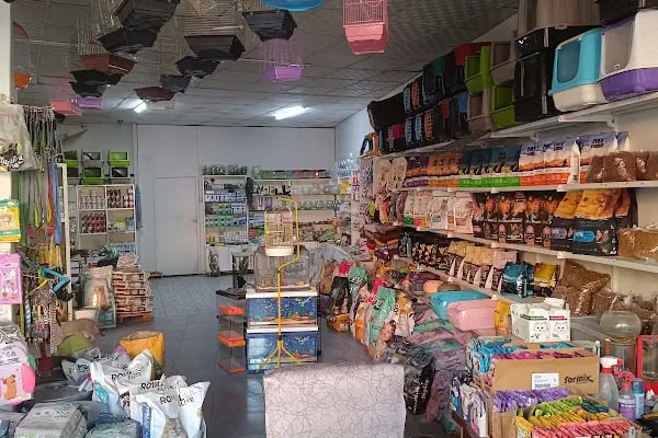 Gaziantep petshop minnak - Resim 1