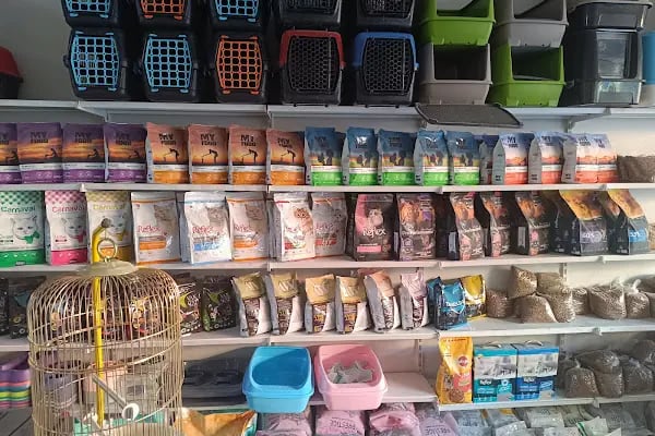 Gaziantep petshop minnak - Resim 10