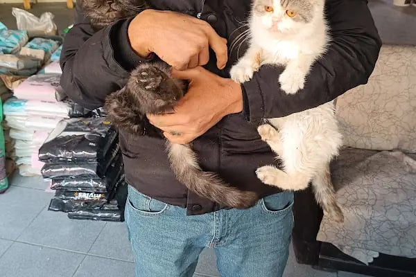 Gaziantep petshop minnak - Resim 9