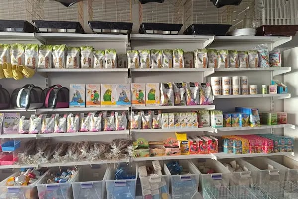 Gaziantep petshop minnak - Resim 7