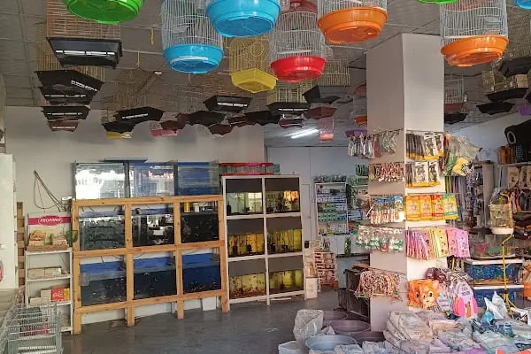 Gaziantep petshop minnak - Resim 4