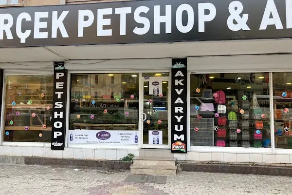 Gerçek Petshop ve Akvaryum Ahmet özcan caddesi - Resim 8