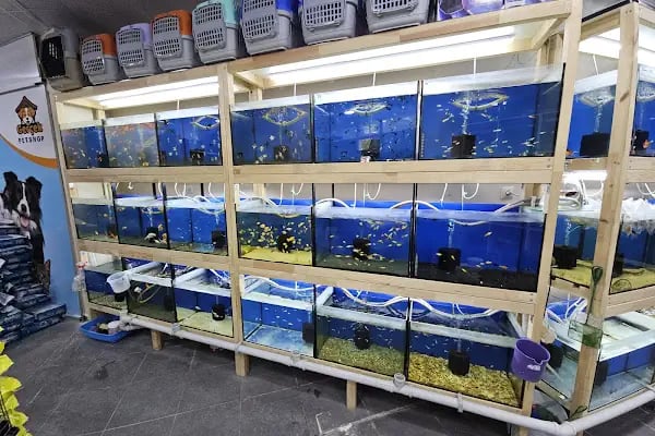 Gerçek Petshop ve Akvaryum Ahmet özcan caddesi - Resim 3
