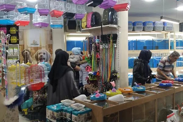 Gerçek Petshop ve Akvaryum Ahmet özcan caddesi - Resim 2