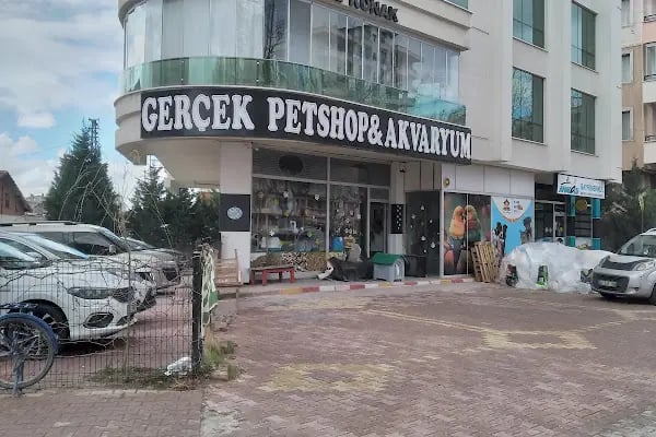 Gerçek Petshop ve Akvaryum Ahmet özcan caddesi - Resim 11