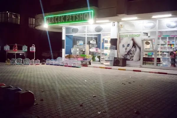 Gerçek Petshop ve Akvaryum Ahmet özcan caddesi - Resim 9