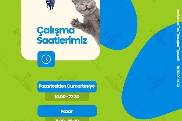 Gerçek Petshop ve Akvaryum Ahmet özcan caddesi - Resim 10