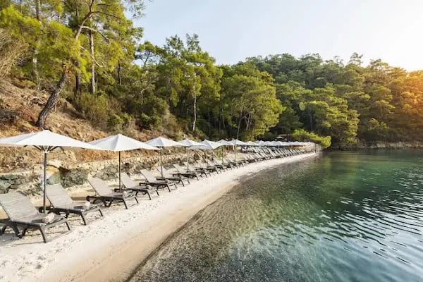 Dolphin Apart &amp; Hotel Sarıgerme - Resim 14