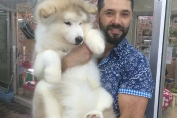 İzmit Kocaeli - Green Petshop - Resim 10